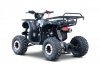 Pojazd Quad Spalinowy WILDPEAK 110cc Czarny